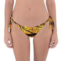 Golden Vein Reversible Bikini Bottom