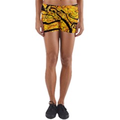 Golden Vein Yoga Shorts