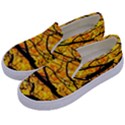 Golden Vein Kids  Canvas Slip Ons View2