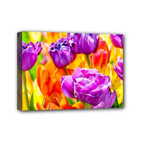 Tulip Flowers Mini Canvas 7  X 5  by FunnyCow