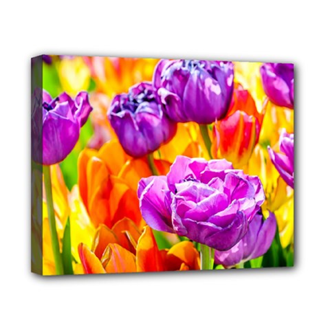 Tulip Flowers Canvas 10  X 8  by FunnyCow