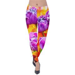 Tulip Flowers Velvet Leggings by FunnyCow