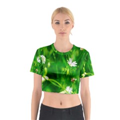 Inside The Grass Cotton Crop Top