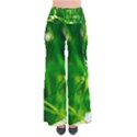 Inside The Grass So Vintage Palazzo Pants View1