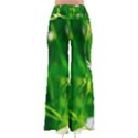 Inside The Grass So Vintage Palazzo Pants View2