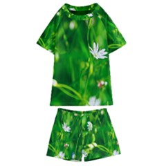 Inside The Grass Kids  Swim Tee And Shorts Set