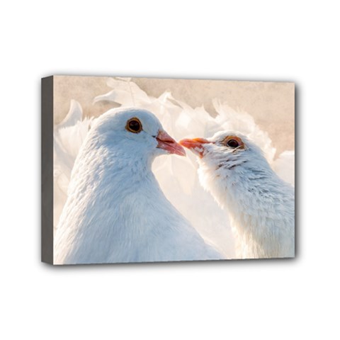 Doves In Love Mini Canvas 7  X 5  by FunnyCow