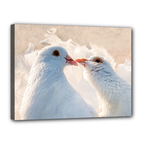 Doves In Love Canvas 16  X 12  by FunnyCow