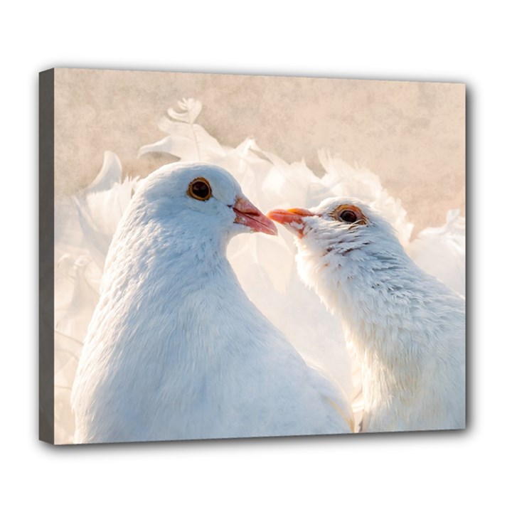 Doves In Love Deluxe Canvas 24  x 20  