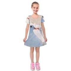 Doves In Love Kids  Short Sleeve Velvet Dress by FunnyCow