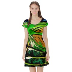 Lillies In The Terracota Vase 5 Short Sleeve Skater Dress by bestdesignintheworld