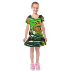 Lillies In The Terracota Vase 5 Kids  Short Sleeve Velvet Dress by bestdesignintheworld