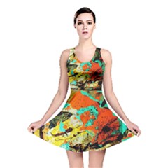 428252604002397 428252204002437 428252564002401 428252527335738 Reversible Skater Dress by bestdesignintheworld