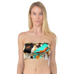 Fragrance Of Kenia 3 Bandeau Top by bestdesignintheworld