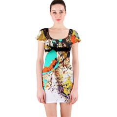 Fragrance Of Kenia 3 Short Sleeve Bodycon Dress