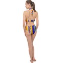 Colorful Stripes Halter Side Cut Swimsuit View2