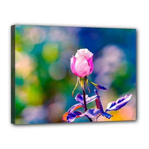 Pink Rose Flower Canvas 16  X 12  by FunnyCow