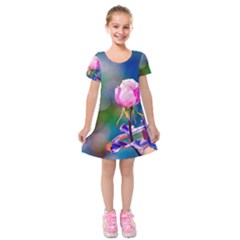 Pink Rose Flower Kids  Short Sleeve Velvet Dress by FunnyCow