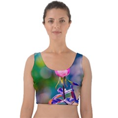 Pink Rose Flower Velvet Crop Top by FunnyCow