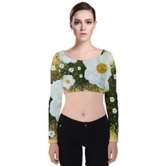 Summer Anemone Sylvestris Velvet Crop Top