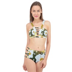 Summer Anemone Sylvestris Cage Up Bikini Set