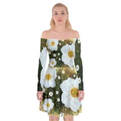 Summer Anemone Sylvestris Off Shoulder Skater Dress by Nexatart