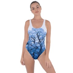 Nature Inspiration Trees Blue Bring Sexy Back Swimsuit by Nexatart