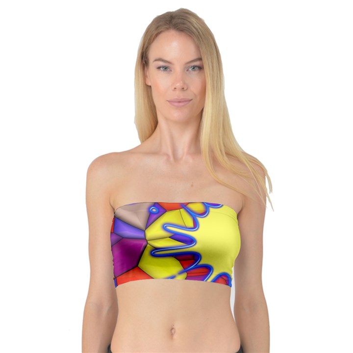 Embroidery Dab Color Spray Bandeau Top