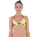 Embroidery Dab Color Spray Halter Neck Bikini Top View1