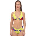 Embroidery Dab Color Spray Double Strap Halter Bikini Set View1