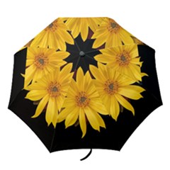 Sun Flower Blossom Bloom Particles Folding Umbrellas by Nexatart