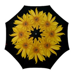 Sun Flower Blossom Bloom Particles Golf Umbrellas by Nexatart