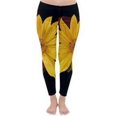 Sun Flower Blossom Bloom Particles Classic Winter Leggings by Nexatart