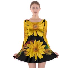 Sun Flower Blossom Bloom Particles Long Sleeve Skater Dress by Nexatart