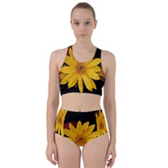 Sun Flower Blossom Bloom Particles Racer Back Bikini Set by Nexatart