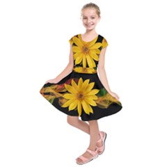 Sun Flower Blossom Bloom Particles Kids  Short Sleeve Dress by Nexatart