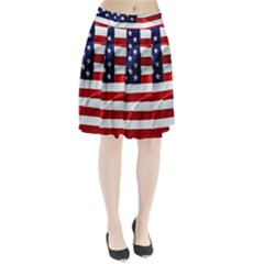 American Usa Flag Pleated Skirt by FunnyCow