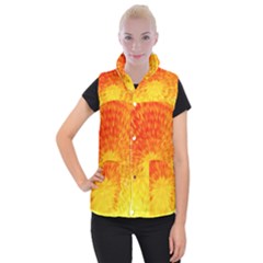 Abstract Explosion Blow Up Circle Women s Button Up Vest by Nexatart