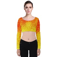 Abstract Explosion Blow Up Circle Velvet Crop Top by Nexatart