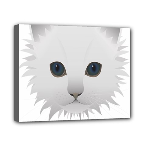 Cat Animal Pet Kitty Cats Kitten Canvas 10  X 8  by Sapixe