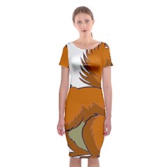 Squirrel Animal Pet Classic Short Sleeve Midi Dress by Sapixe