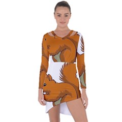 Squirrel Animal Pet Asymmetric Cut-out Shift Dress by Sapixe