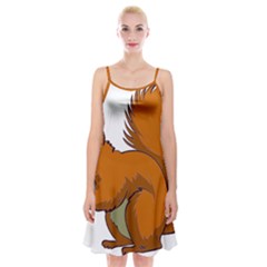 Squirrel Animal Pet Spaghetti Strap Velvet Dress by Sapixe