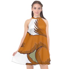 Squirrel Animal Pet Halter Neckline Chiffon Dress  by Sapixe