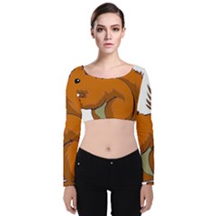 Squirrel Animal Pet Velvet Crop Top by Sapixe