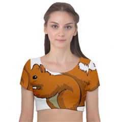 Squirrel Animal Pet Velvet Short Sleeve Crop Top  by Sapixe