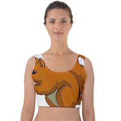 Squirrel Animal Pet Velvet Crop Top by Sapixe