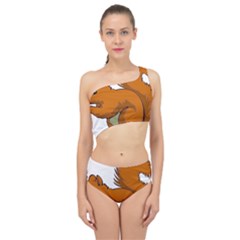 Squirrel Animal Pet Spliced Up Two Piece Swimsuit