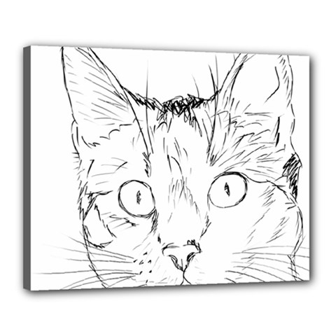 Cat Feline Animal Pet Canvas 20  X 16  by Sapixe