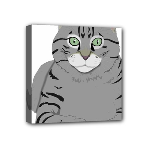 Cat Kitty Gray Tiger Tabby Pet Mini Canvas 4  X 4  by Sapixe